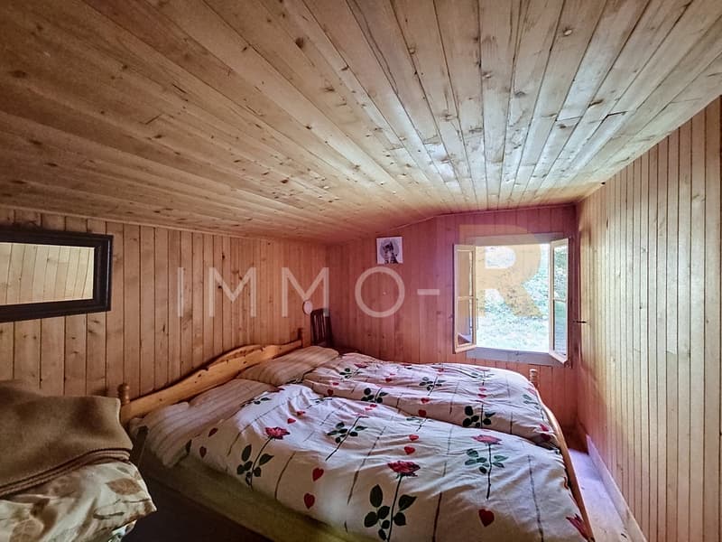 Chalet de loisirs (9)