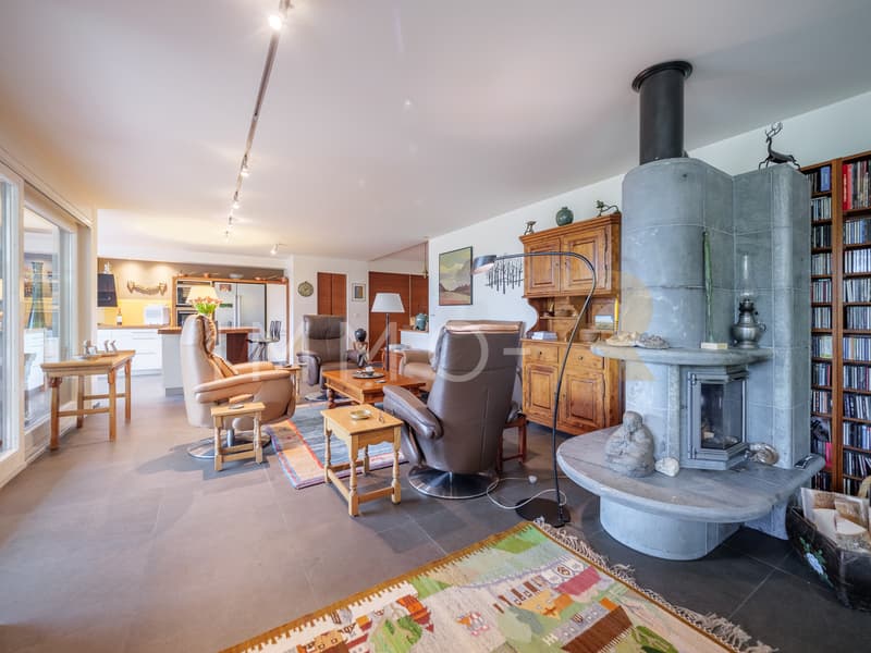 Spacieux appartement -  terrasse, jardin  vue dégagée sur le Moléson (3)