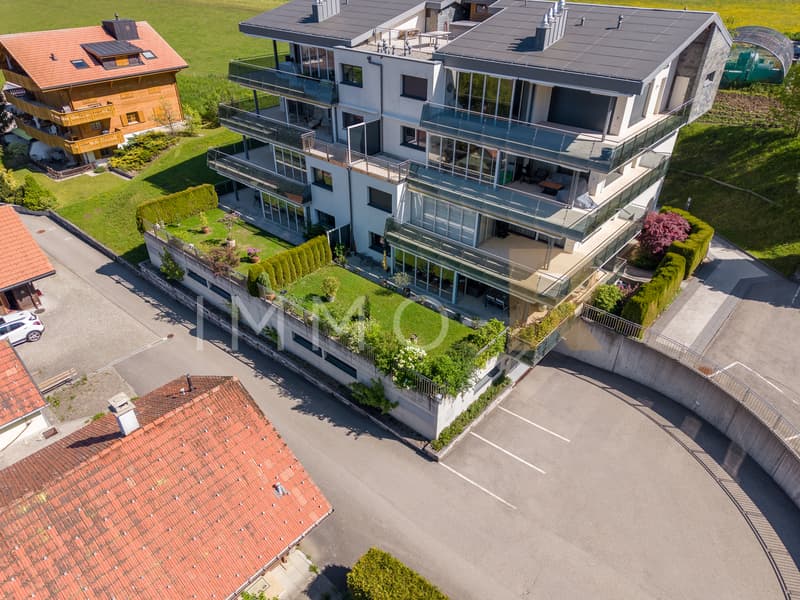 Spacieux appartement -  terrasse, jardin  vue dégagée sur le Moléson (8)