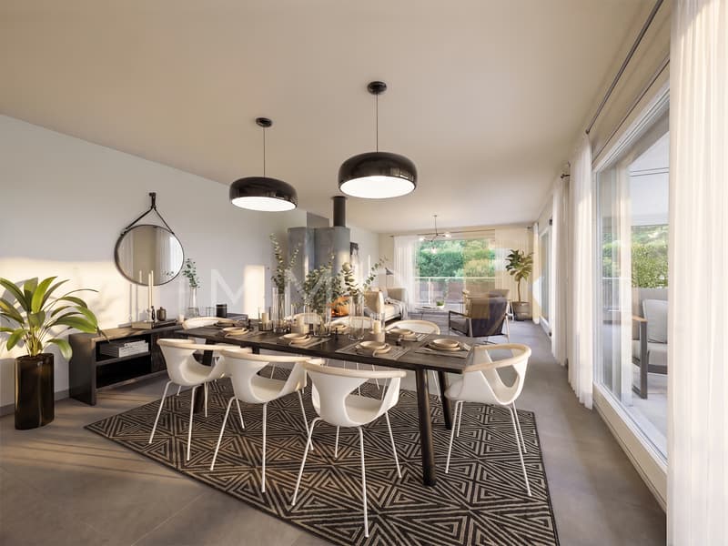 Spacieux appartement -  terrasse, jardin  vue dégagée sur le Moléson (9)