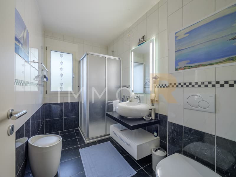 Spacieux appartement -  terrasse, jardin  vue dégagée sur le Moléson (4)