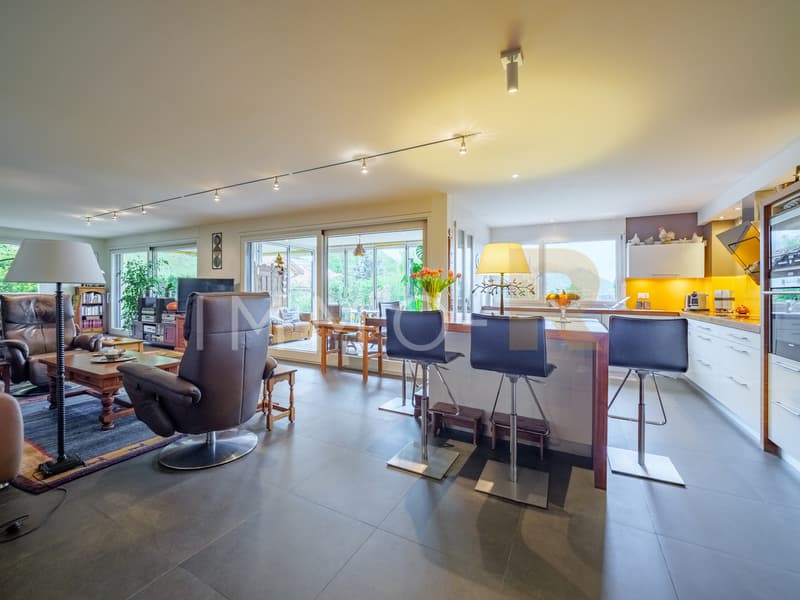 Spacieux appartement -  terrasse, jardin  vue dégagée sur le Moléson (2)