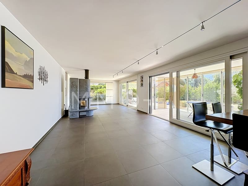 Spacieux appartement - terrasse, jardin vue dégagée sur le Moléson (4)