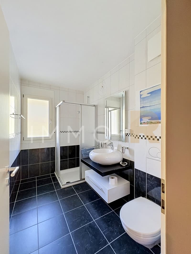 Spacieux appartement - terrasse, jardin vue dégagée sur le Moléson (10)