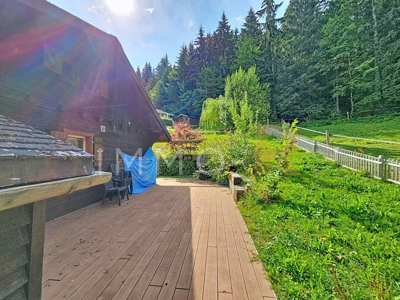 Chalet avec magnifique vue (4)