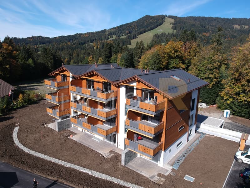 Ravissant 3.5pce avec terrasse et jardin (11)
