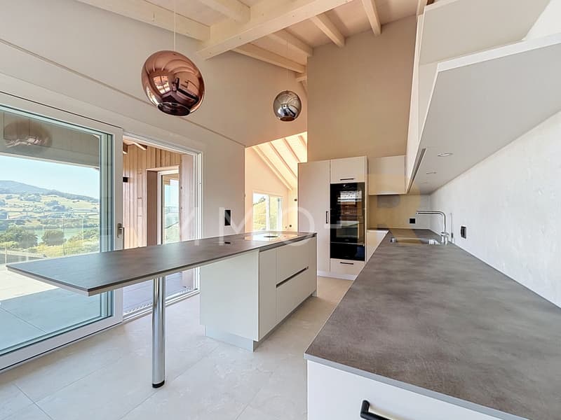 Appartement 4,5 de standing (3)