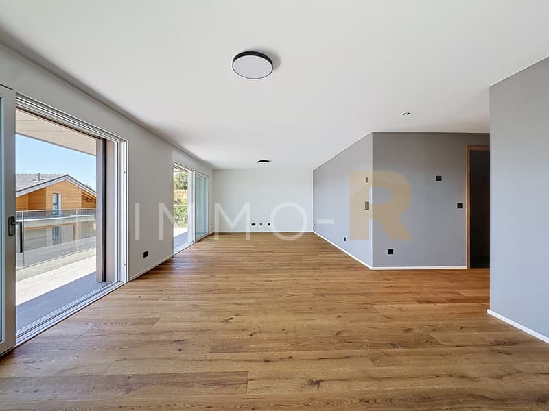 Appartement 3,5 de standing (7)