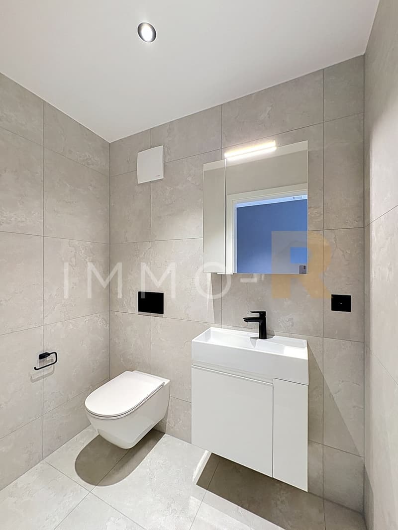 Appartement 3,5 de standing (9)