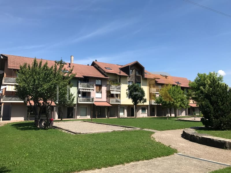 Bel appartement 4,5 pièces  entièrement rénové (9)