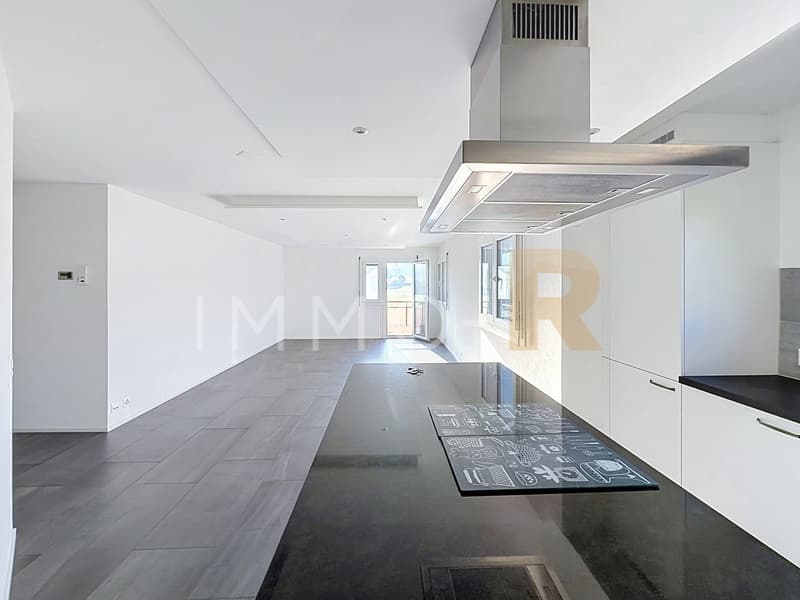 Bel appartement 4,5 pièces  entièrement rénové (3)