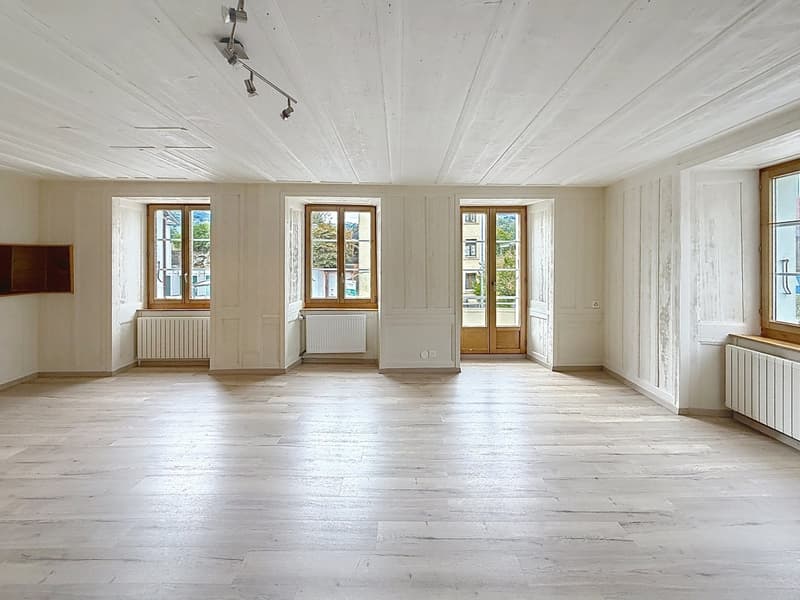Ravissante maison individuelle (6)