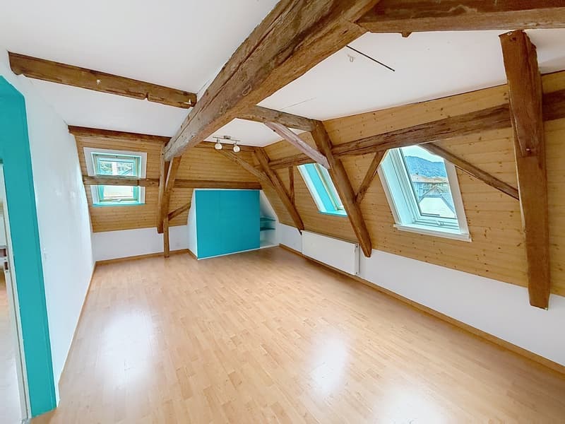 Ravissante maison individuelle (13)