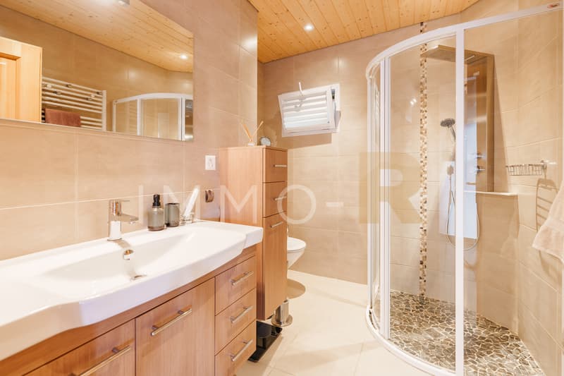 Grande maison 2 appartements avec grand potentiel d'agrandissement (9)