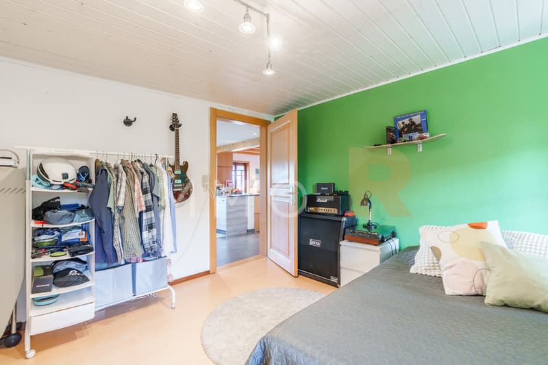 Grande maison 2 appartements avec grand potentiel de transformation (7)