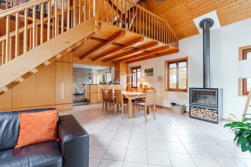 Grande maison 2 appartements avec grand potentiel de transformation (5)