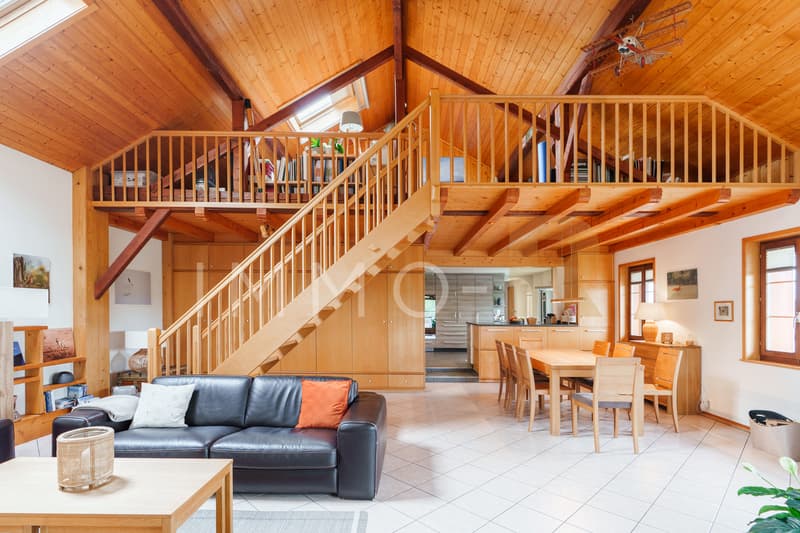 Grande maison 2 appartements avec grand potentiel de transformation (4)