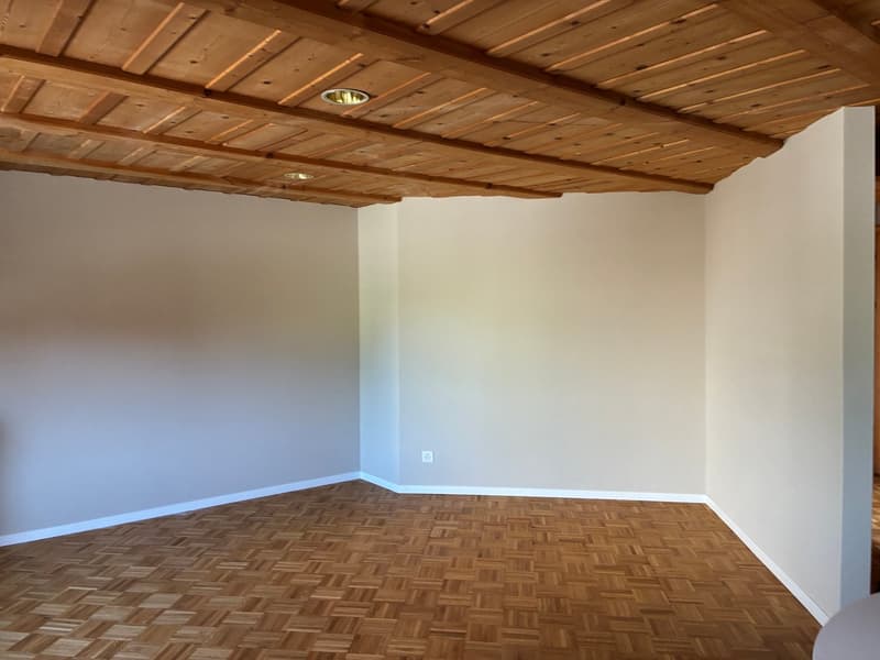 Altersfreundliche 3.5-Zimmerwohnung mit Charme (10)