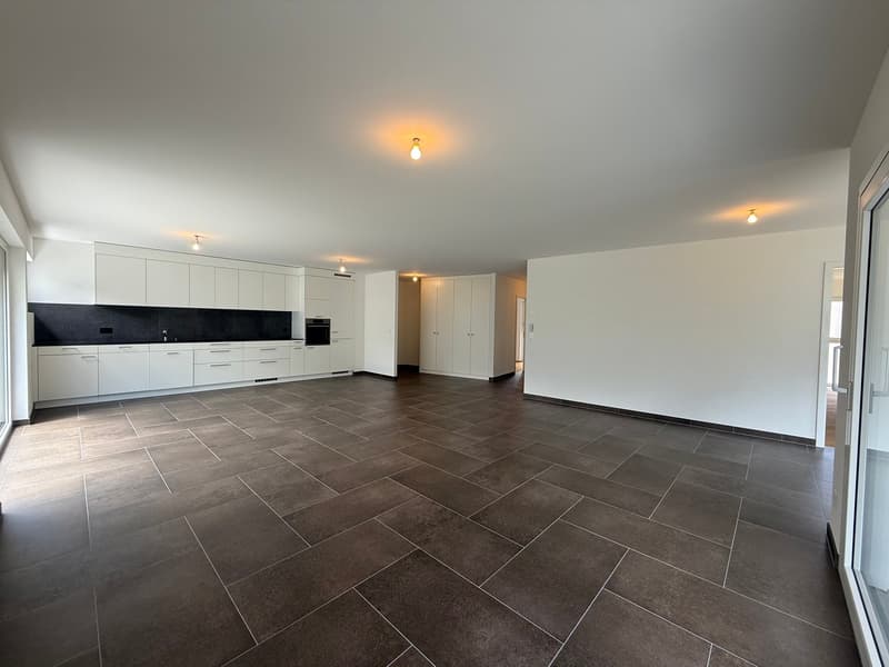 Superbe appartement neuf de 4.5 pièces avec grande terrasse (11)