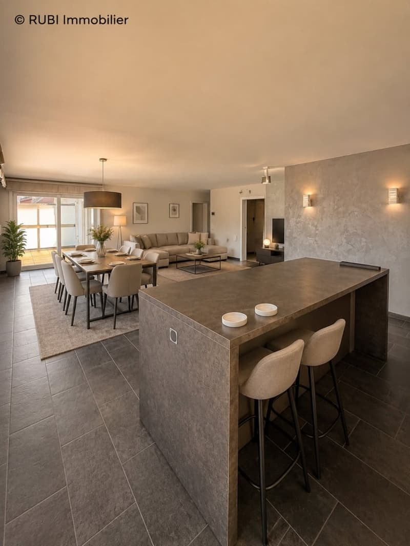Appartement de standing avec grande terrasse et vue panoramique (2)