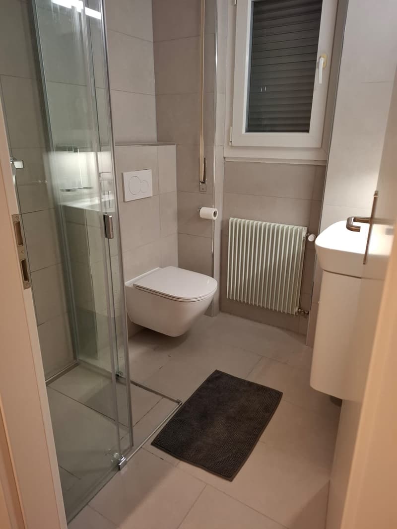 Studio entièrement rénové au centre-ville (9)