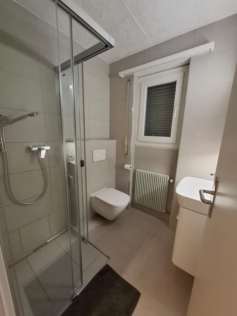 Studio entièrement rénové au centre-ville (8)