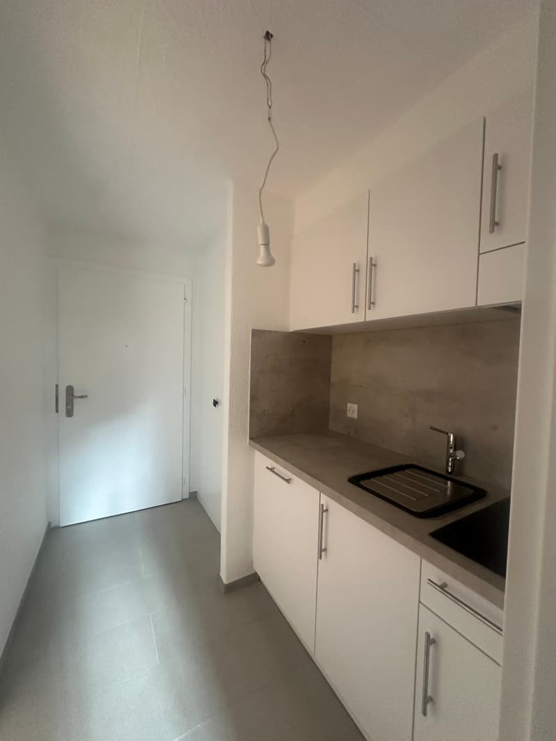 Studio entièrement rénové au centre-ville (4)