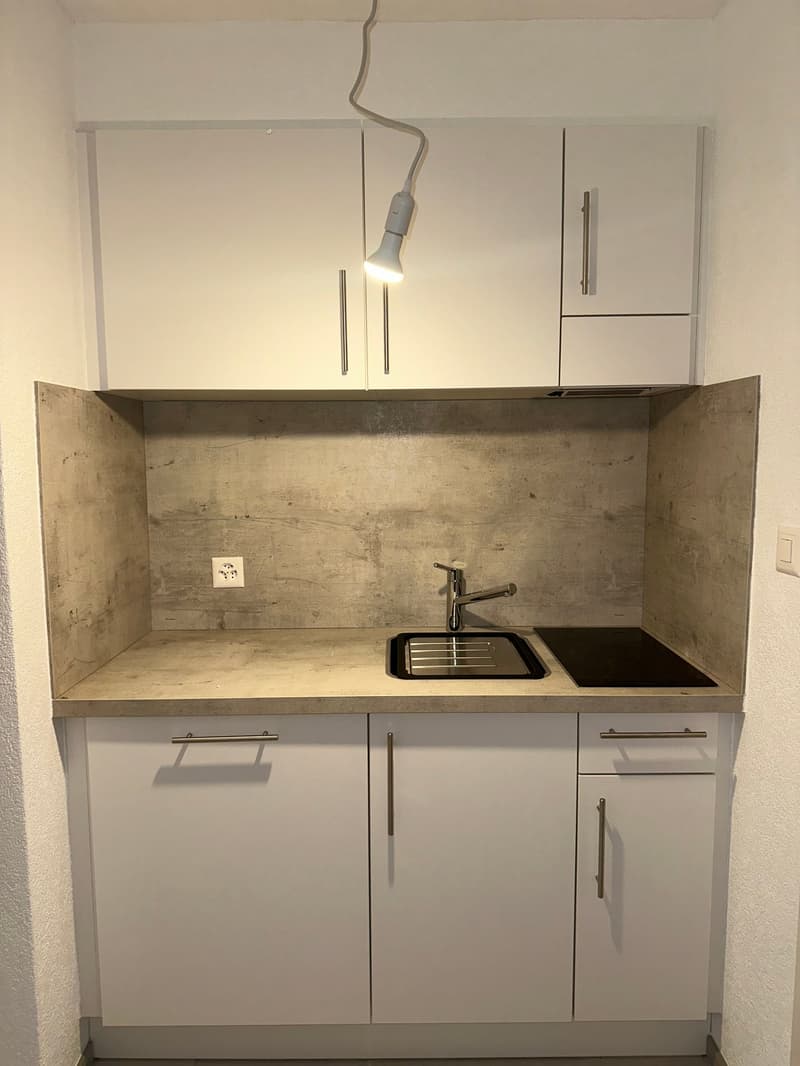 Studio entièrement rénové au centre-ville (3)