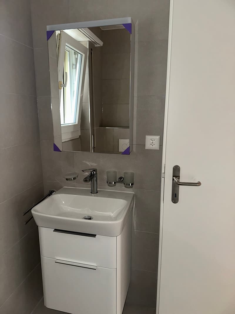 Studio entièrement rénové au centre-ville (2)