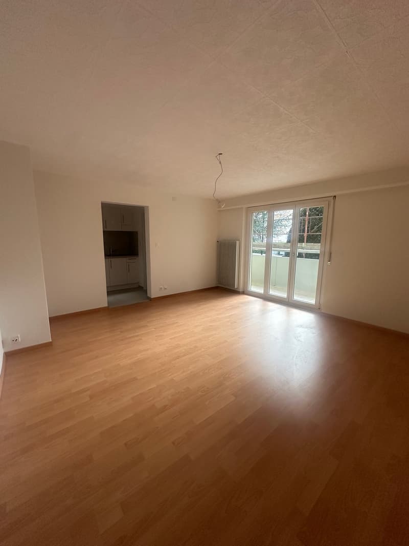 Studio entièrement rénové au centre-ville (1)