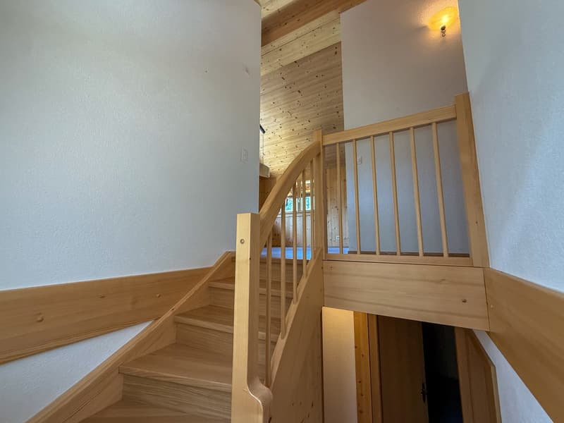 Ancien raccard transformé en chalet d'habitation — rénovation intégrale 2022 (9)