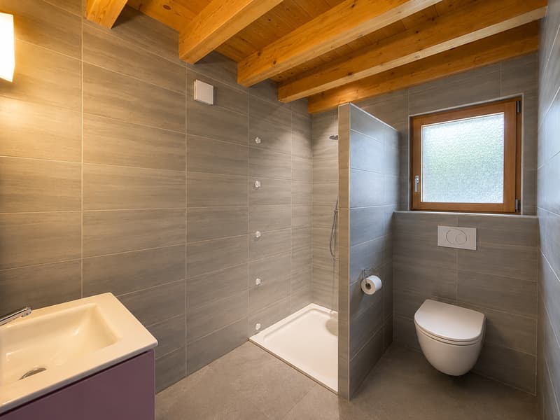Ancien raccard transformé en chalet d'habitation — rénovation intégrale 2022 (12)