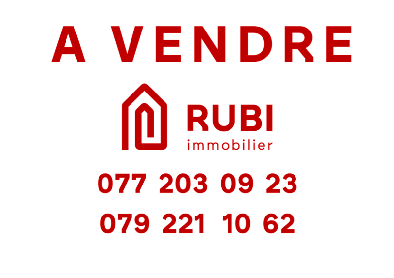 Ancien raccard transformé en chalet d'habitation — rénovation intégrale 2022 (16)