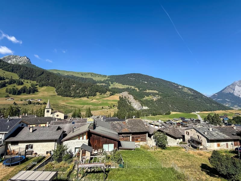 Ancien raccard transformé en chalet d'habitation — rénovation intégrale 2022 (15)