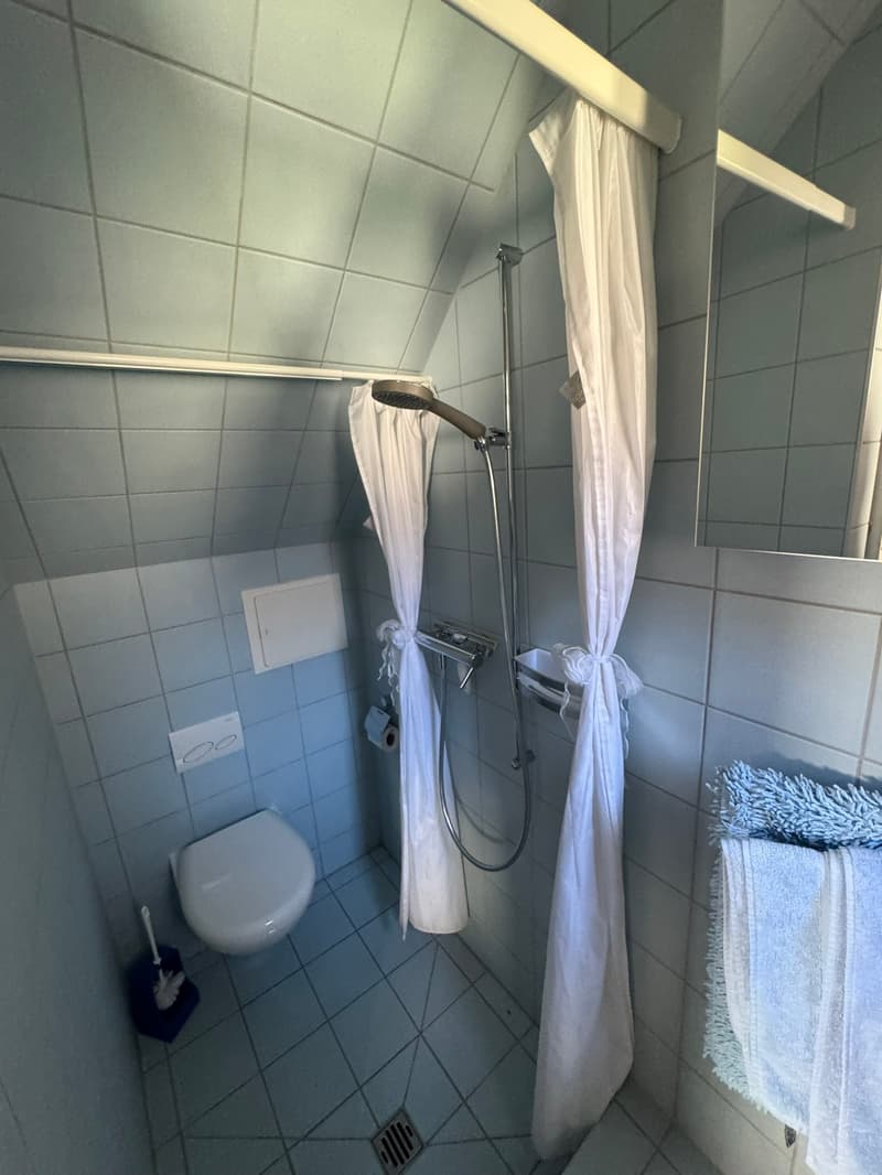 Compact bathroom with a shower and toilet in the corner, and towel racks on the wall.