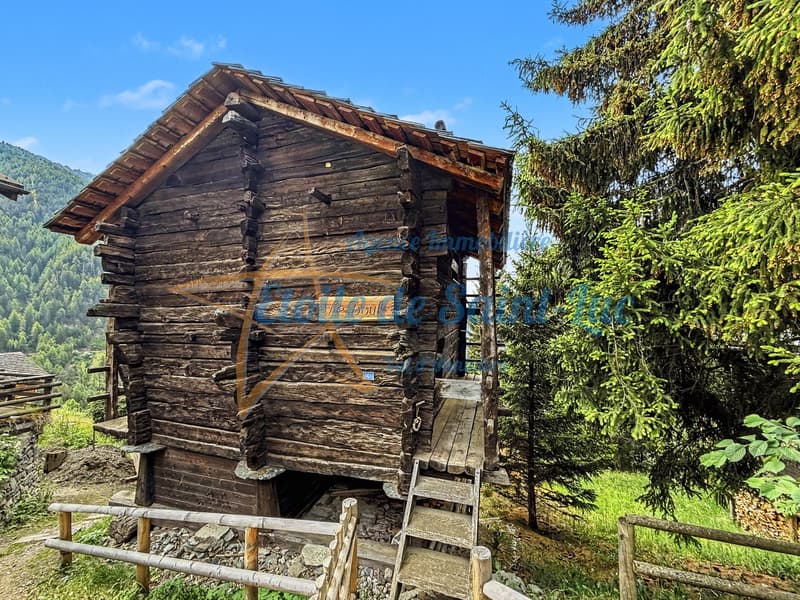 Superbe chalet et ses deux raccards (23)
