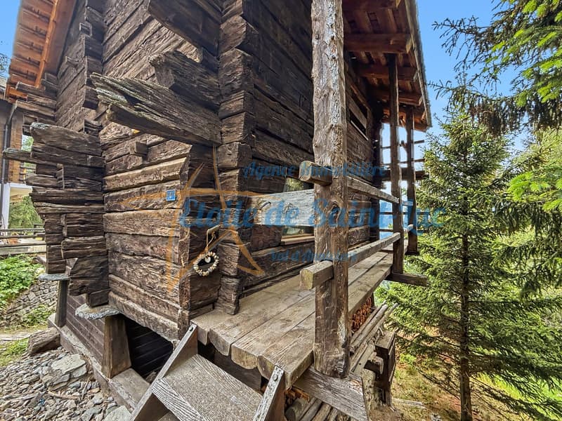 Superbe chalet et ses deux raccards (29)