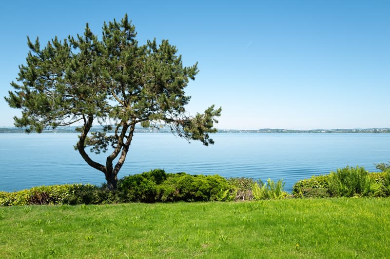 Aussicht