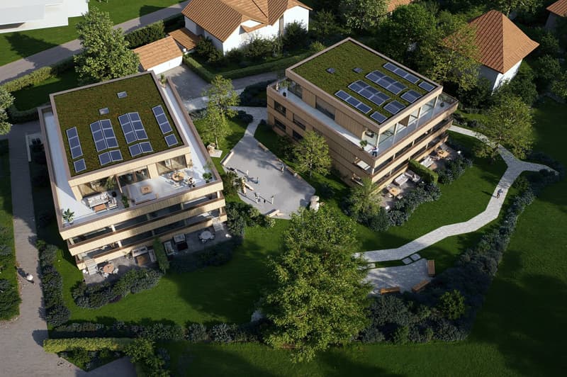 Two story house, brown roof, solar panels, green roof, balcony, terrace, garden