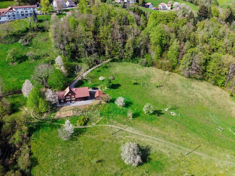 House in a rural area, surrounded by trees and grass, with a driveway leading to it.