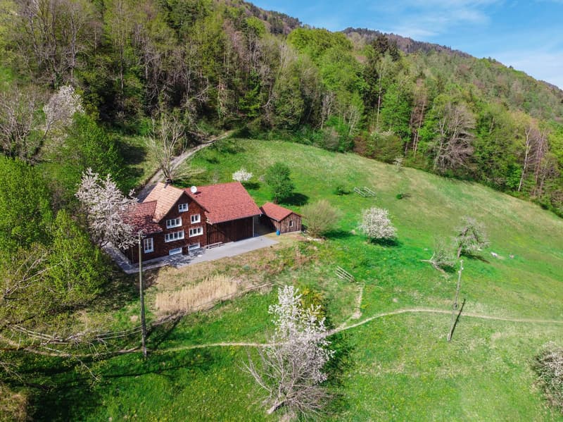 Detached house, red roof, surrounded by green field, trees, and mountains