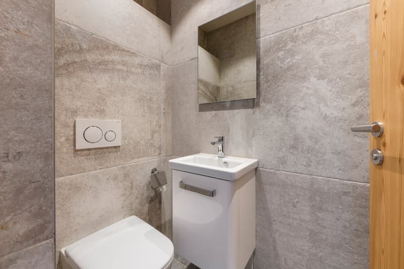 small bathroom with white toilet, white sink, mirror, wooden door