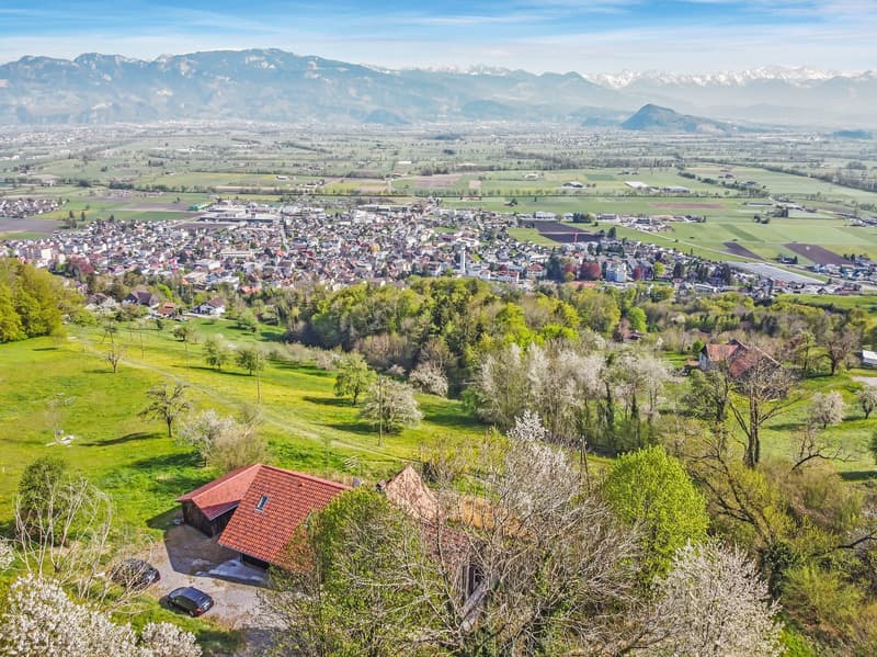 House with red roof, surrounded by green fields and trees, mountains in the distance, car parked in front