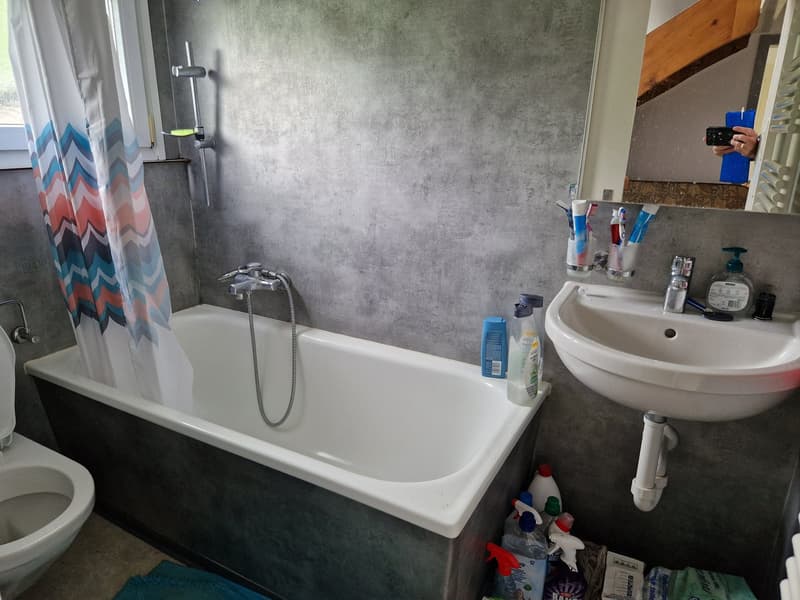 Gemütliches 1.5-Zimmer-Apartment in Herisau (1)