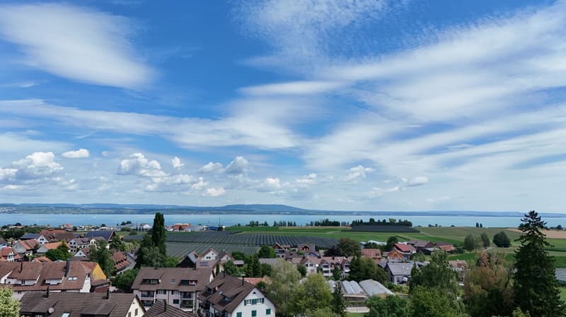 Neuwertiges 4.5-Zimmer-Einfamilienhaus mit Dachterrasse & Seesicht (5)