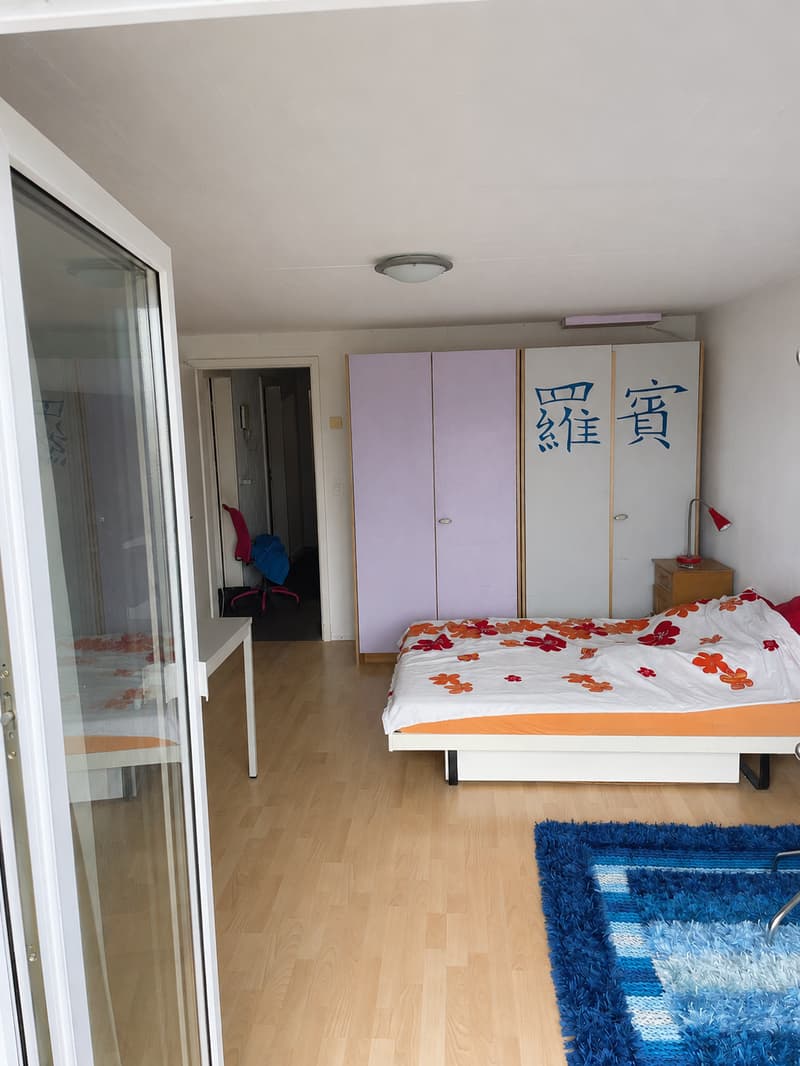 Wohnen mit Weitblick bis zum Bodensee – Ihr 5.5-Zimmer-Traumhaus in Heiden AR (21)