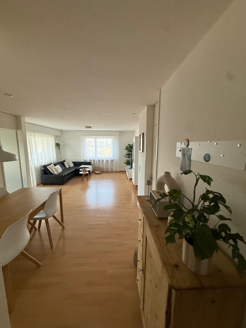 3.5-Zimmer-Wohnung in St. Gallen zu vermieten (3)
