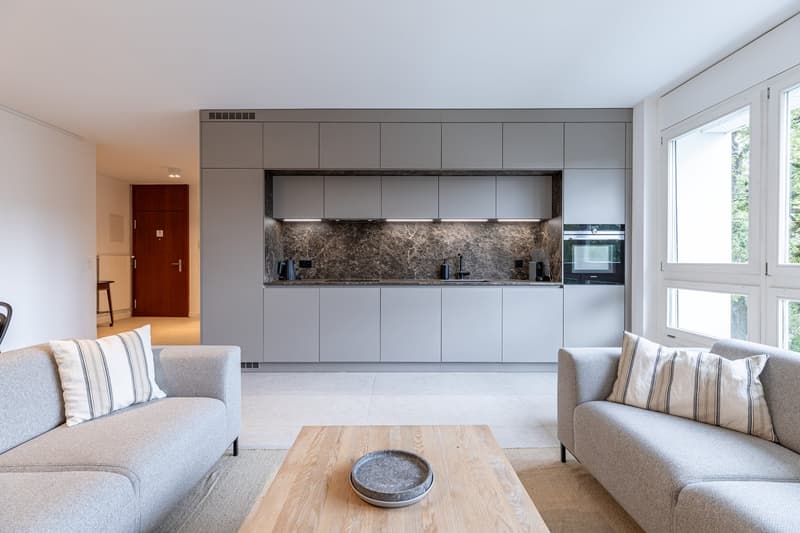 modern living room with kitchen area, gray sofas, wooden coffee table, large windows, built-in cabinets, granite countertop, modern kitchen appliances
