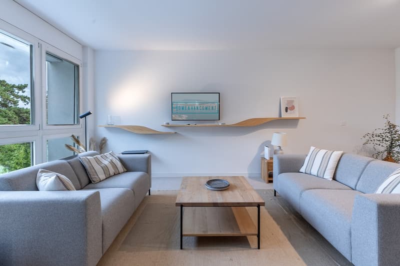 large windows, TV, couches, coffee table, carpet