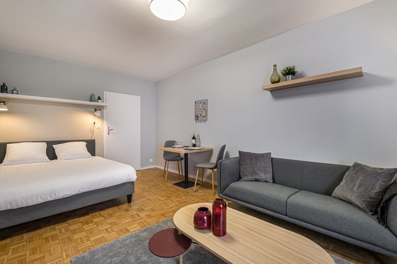 ✨ Studio Meublé et Confortable à Louer – Rue de Richemont, Proche Quartier des Pâquis ✨ (7)
